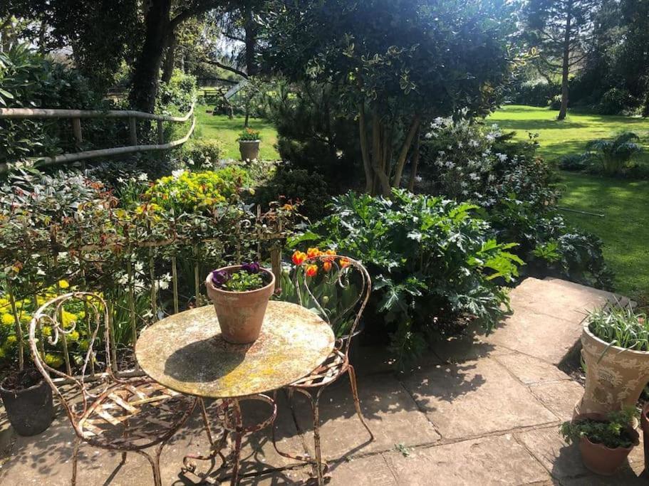 Escape To Ash House 18Th Century Manor In Somerset マートック エクステリア 写真