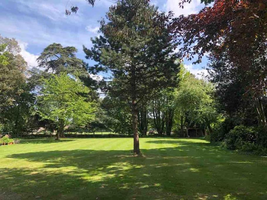 Escape To Ash House 18Th Century Manor In Somerset マートック エクステリア 写真