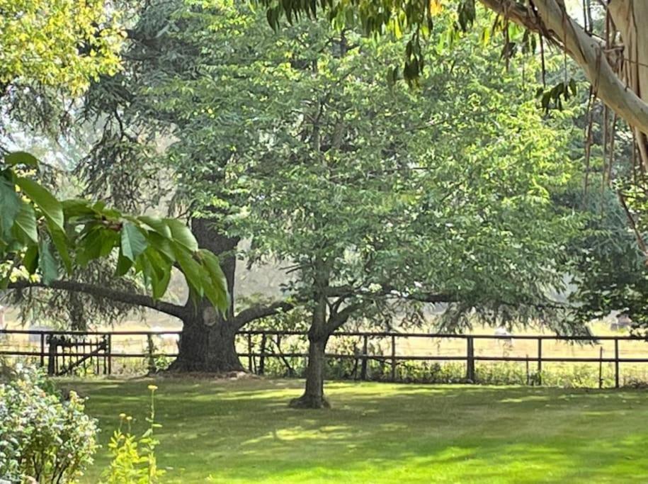 Escape To Ash House 18Th Century Manor In Somerset マートック エクステリア 写真