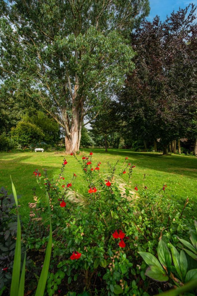Escape To Ash House 18Th Century Manor In Somerset マートック エクステリア 写真