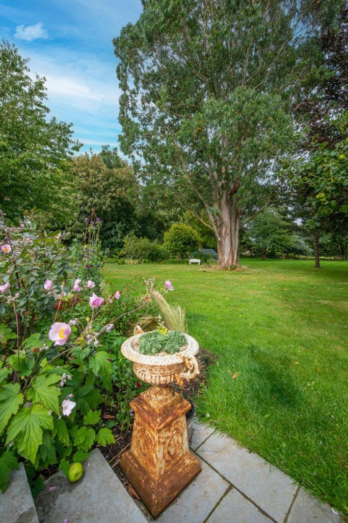 Escape To Ash House 18Th Century Manor In Somerset マートック エクステリア 写真