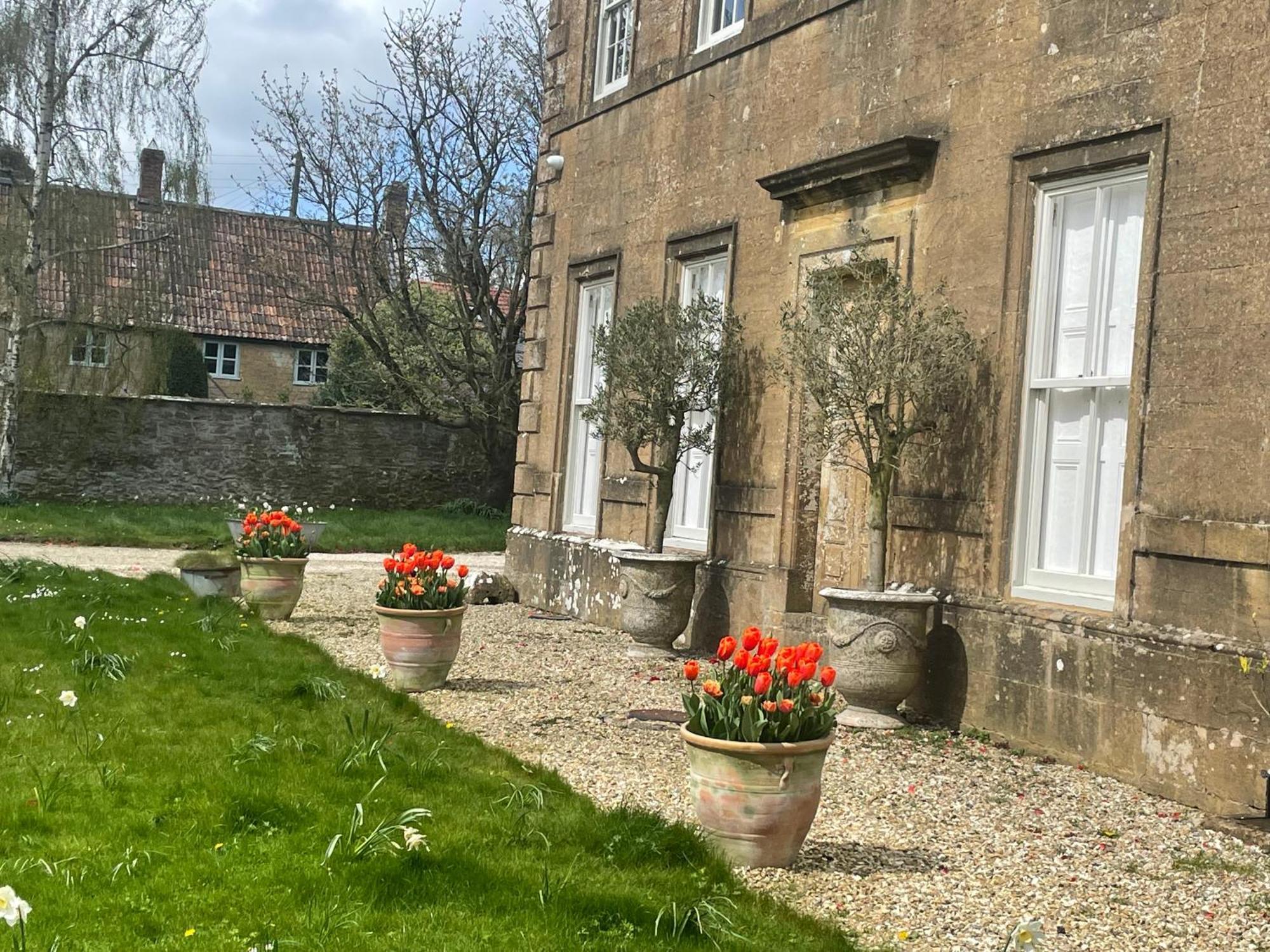 Escape To Ash House 18Th Century Manor In Somerset マートック エクステリア 写真